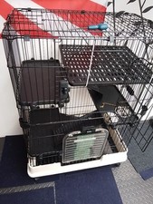 Ferret rabbit chinchilla for sale  CAMBRIDGE