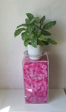 Présentoir parfum plexiglas d'occasion  Angers-