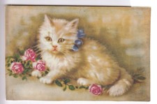 Cpa animal fantaisie d'occasion  Ménéac