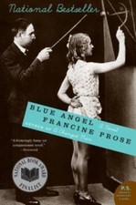 Blue angel paperback for sale  Jessup