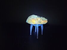 Dinosaur fossil skull for sale  Belleville