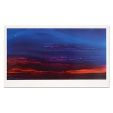 Wyland sacred seas for sale  USA