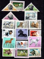 hundemotiv gebraucht kaufen  Neuenmarkt