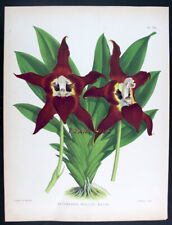 antica carta filigrana usato antica carta filigrana usato Urbino