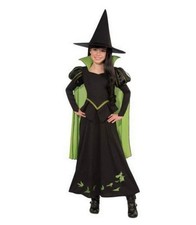 Wizard wicked witch for sale  Bedminster
