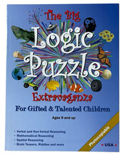 Big logic puzzle for sale  Smyrna