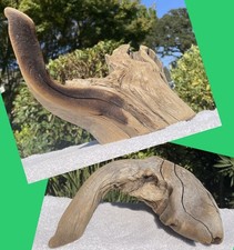 Driftwood natural freshwater for sale  Granite Bay