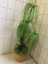 Künstliche pflanze groß gebraucht kaufen  Uelzen