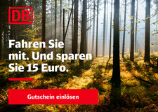 Bahn gutschein euro gebraucht kaufen  Deutschland
