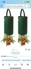 Upside strawberry planters for sale  Titusville