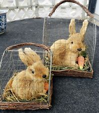 Pair bunny rabbits d'occasion  Expédié en Belgium