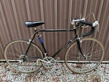 Vintage nishiki sport for sale  Hebron