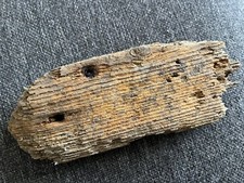 Flat character driftwood for sale  CLACTON-ON-SEA