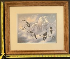Ted blaylock geese for sale  Minneapolis