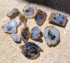 6.2 end cuts for sale  Joshua Tree