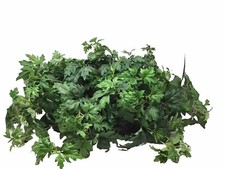 Hosley brass planter for sale  Novi