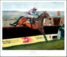 Best mate limited for sale  OMAGH