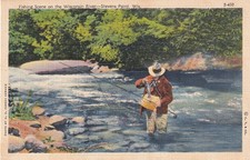 Stevens Point Wisconsin WI escena de pesca en el río Fish Stream postal E13 segunda mano  Embacar hacia Mexico