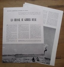 Chasse gibier eau d'occasion  Beaumont-de-Lomagne