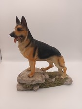 german shepherd for sale  ABERGAVENNY