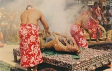 Luau pig hawaii for sale  Victor