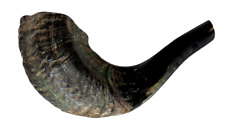 Usado, Instrumento musical judaico Ram Horn Shofar 8" comprar usado  Enviando para Brazil