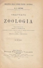 Trattato zoologia hertwig usato Trattato zoologia hertwig usato  Bari