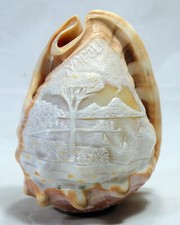 brass shell lamp shade for sale brass shell lamp shade for sale NOTTINGHAM