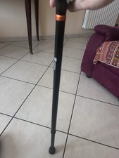 Bastone passeggio per usato  Salerno