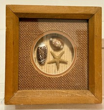 Vintage framed seashell for sale  Amarillo