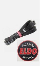 Cinghia elastica rigata usato  Avezzano