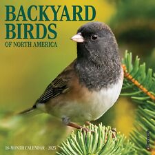 Backyard birds 2025 for sale  Minocqua