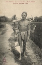 Vietnam tonkin indigenous d'occasion  Expédié en Belgium