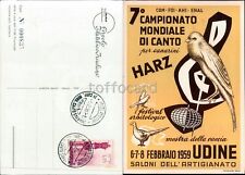 Udine citta campionato usato  Italia