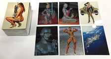 1993 Imagens em Quadrinhos HAJIME SORAYAMA CONJUNTO DE CARTAS BASE (90) + CONJUNTO DE PERSEGUIÇÃO (6), usado comprar usado  Enviando para Brazil