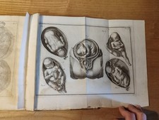 Elementi d'Ostetricia TAVOLE ANATOMICHE Röderer Johann Georg Firenze Albizziana comprar usado  Enviando para Brazil
