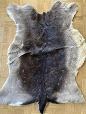 Rehfell xxl echt gebraucht kaufen  Brühl