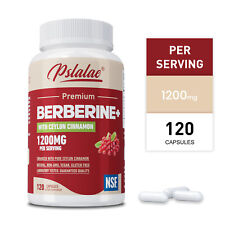 Berberina Premium HCl com Canela do Ceilão 1200mg - Açúcar no Sangue, Suporte Imunológico comprar usado  Enviando para Brazil