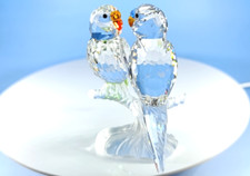 Adorable swarovski budgies for sale  UK