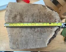 Beautiful piece burr for sale  LONDON