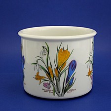 Medium portmeirion botanic for sale  ENFIELD