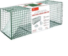 coon traps for sale coon traps for sale Gulf Shores