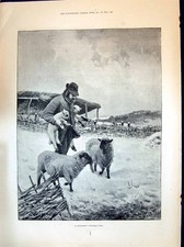 Antigo 1894 Pastor Natal Cordeiros Ovelha General Gourko Varsóvia Nevoeiro Hor Vitoriano comprar usado  Enviando para Brazil