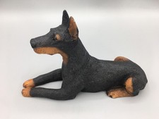 Doberman pinscher dog for sale  Gorham