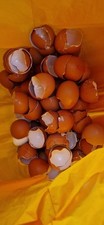 Free range barn for sale  CHESTERFIELD
