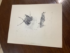 Andrew wyeth 1959 for sale  Ravenel