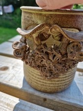 pottery mice for sale pottery mice for sale BODMIN