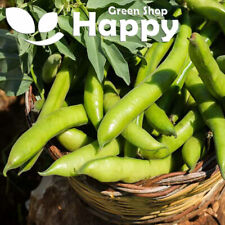 Vegetable seeds broad for sale  DONCASTER