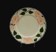 Villeroy boch speiseteller gebraucht kaufen  Hohenkammer