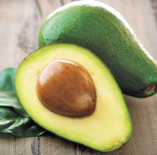 Hass avocado tree for sale  Azusa